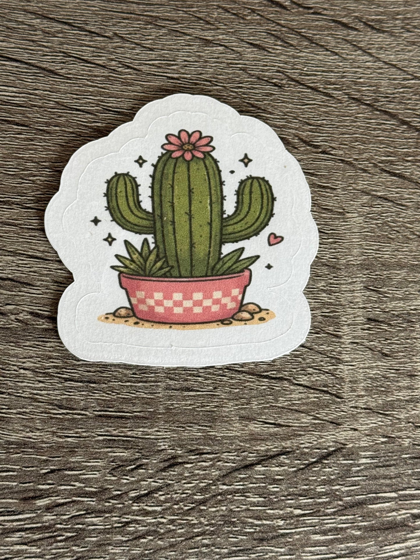 Cactus Friend