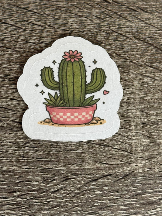 Cactus Friend